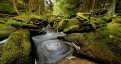 baerentrail_rechts2_960x514-8676e91cbf93b22d0182799d2bf85a03a782fae9