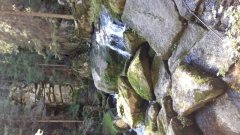 img-20160831-wa0001-8ac564d00c69b34e0b8b3b4d41b1517ae3e9b773