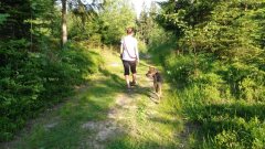 mit-dem-hund-am-baerentrail-953f3447c8e68b281c0c08b99722b1ac121be968