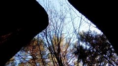 teufelsmauer_zwischen_arbesbach_und_altmelonccw-397b314b1e0c637b4e1c64ac8d10967c3b14fe09