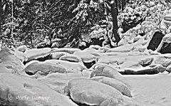 winterwonderland02-7047ae88a6a2aafbe2742c6e4ec0d29eb0127b3b