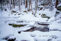 winterworderland03img_9001-f58c9919e774934fc9a07307d1954d69b630ce84