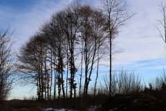 IMG_0872