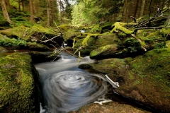 baerentrail_rechts2_960x514-8676e91cbf93b22d0182799d2bf85a03a782fae9