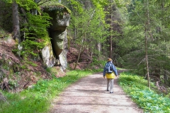 entlangschuettcart_waldsoft-d7b0022f591a66abcaf2cad2976b32867f76aaf1