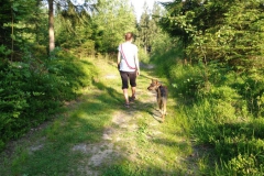 mit-dem-hund-am-baerentrail-953f3447c8e68b281c0c08b99722b1ac121be968