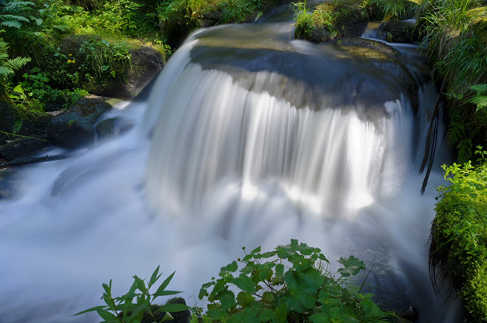 Der Lohnbachfall rauscht über viele verschiedene Geländestufen. (c) Matthias Schickhofer