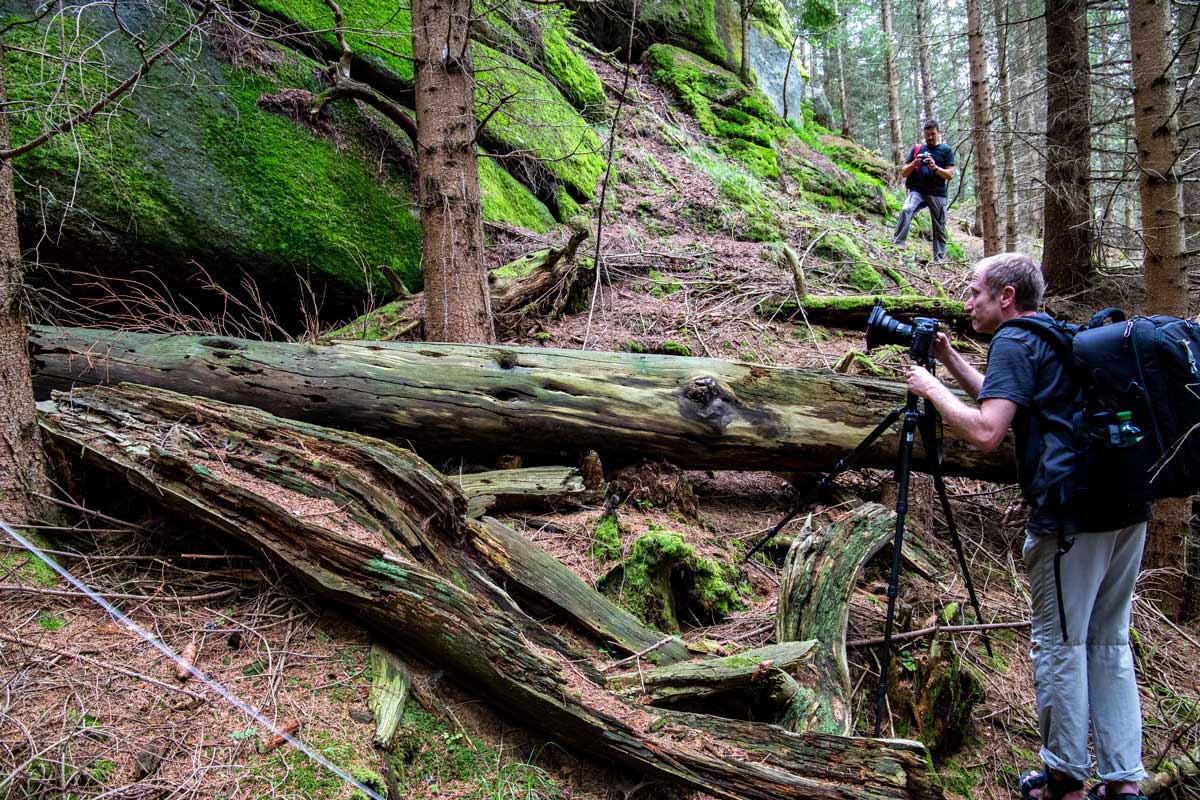 SidestepFelsengarten_Fotowalk_(c)MartinLugmayr4471