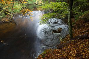 Farbenrausch bei der Schütt, (c)Matthias Schickhofer