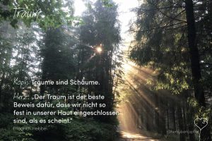 Waldbaden_MichaelaAuer_Traum