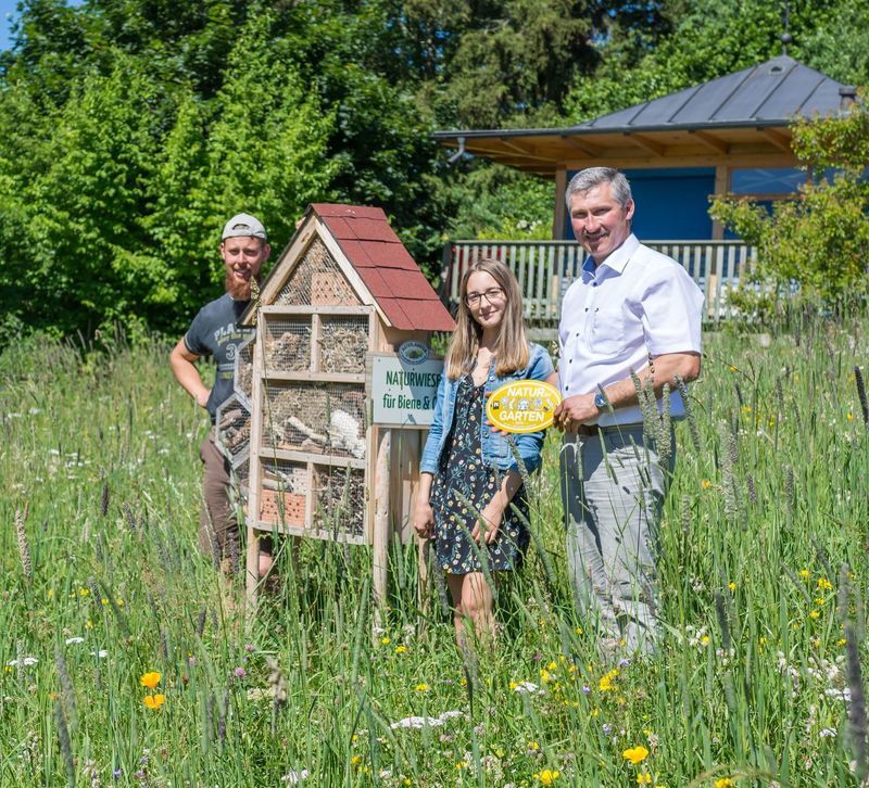 Tips Zwettl: Goldener Igel für Gemeinde Arbesbach