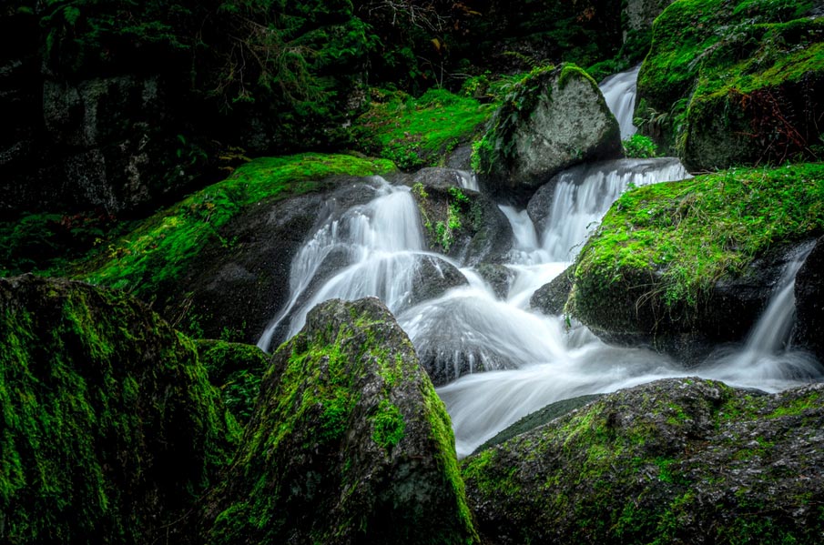 IchWillWiederRaus Lohnbachfall_(c)Renate_Stigler