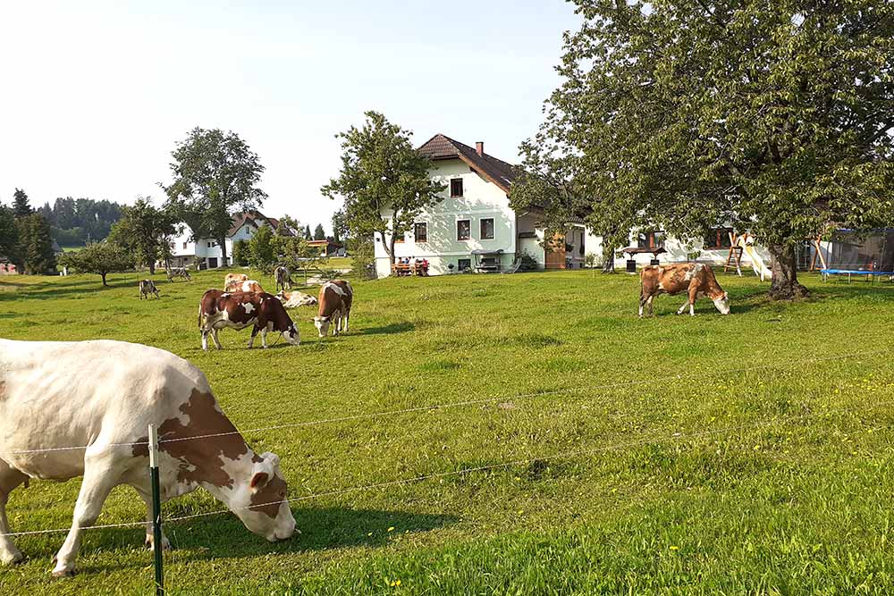 Biohof Mayerhofer Groß Meinharts