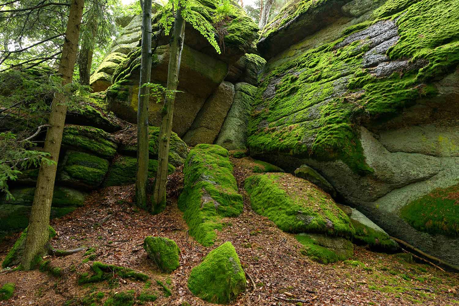 Sidestep Arbesberg02_(c)MatthiasSchickhofer