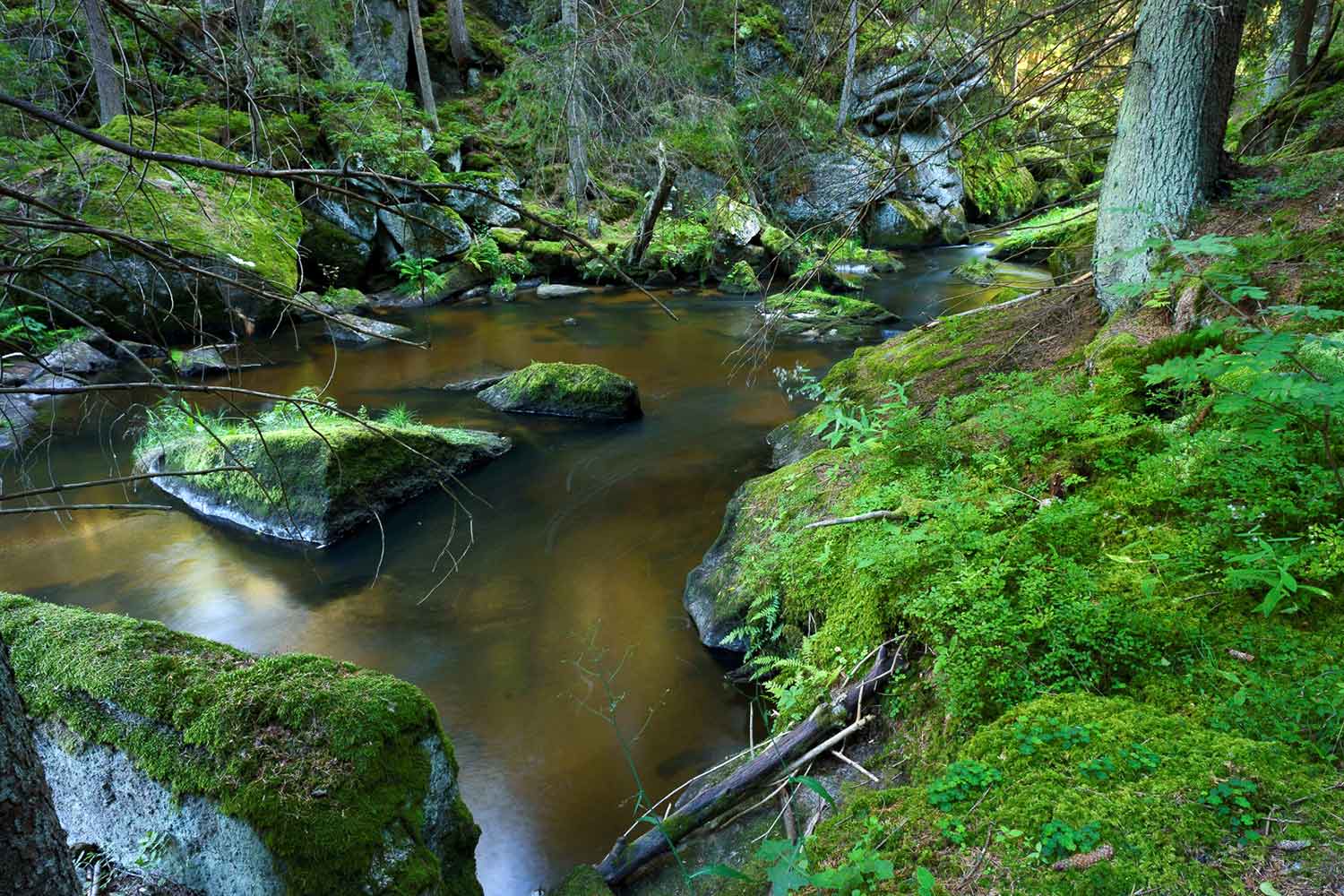 Schlucht am Großen Kamp (c)Matthias-Schickhofer
