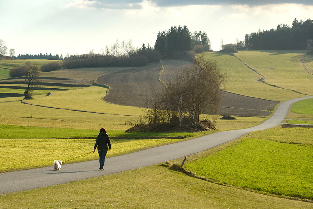 Streifenlandschaft_GroßGerungs_Wiesensfeld_002_(c)MatthiasSchickhofer