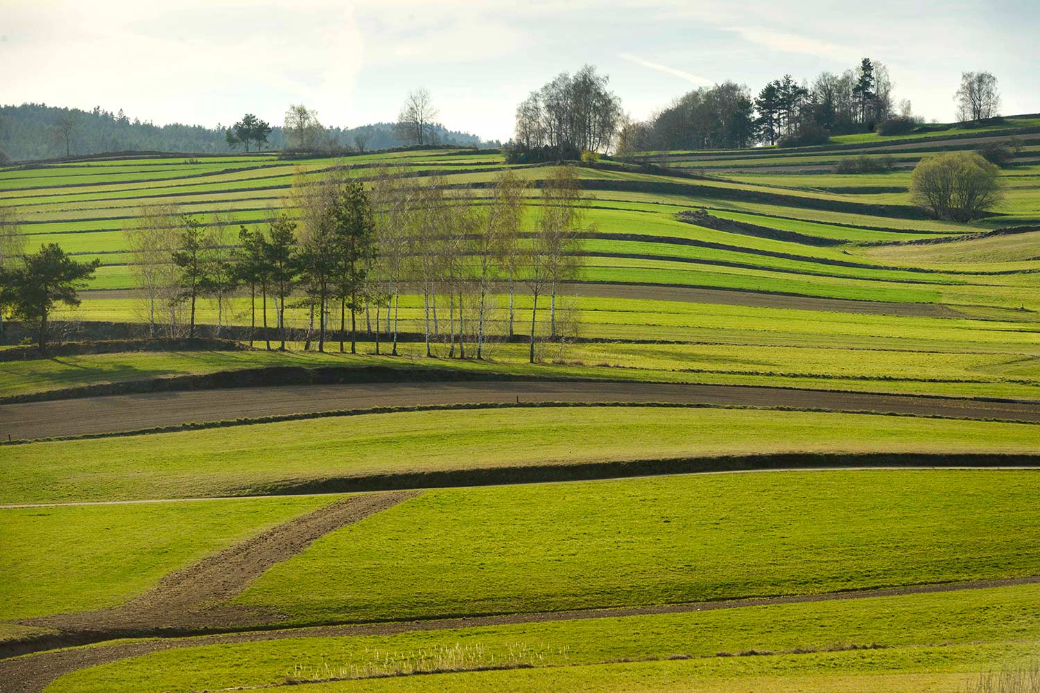 Streifenlandschaft_GroßGerungs_Wiesensfeld_004_(c)MatthiasSchickhofer