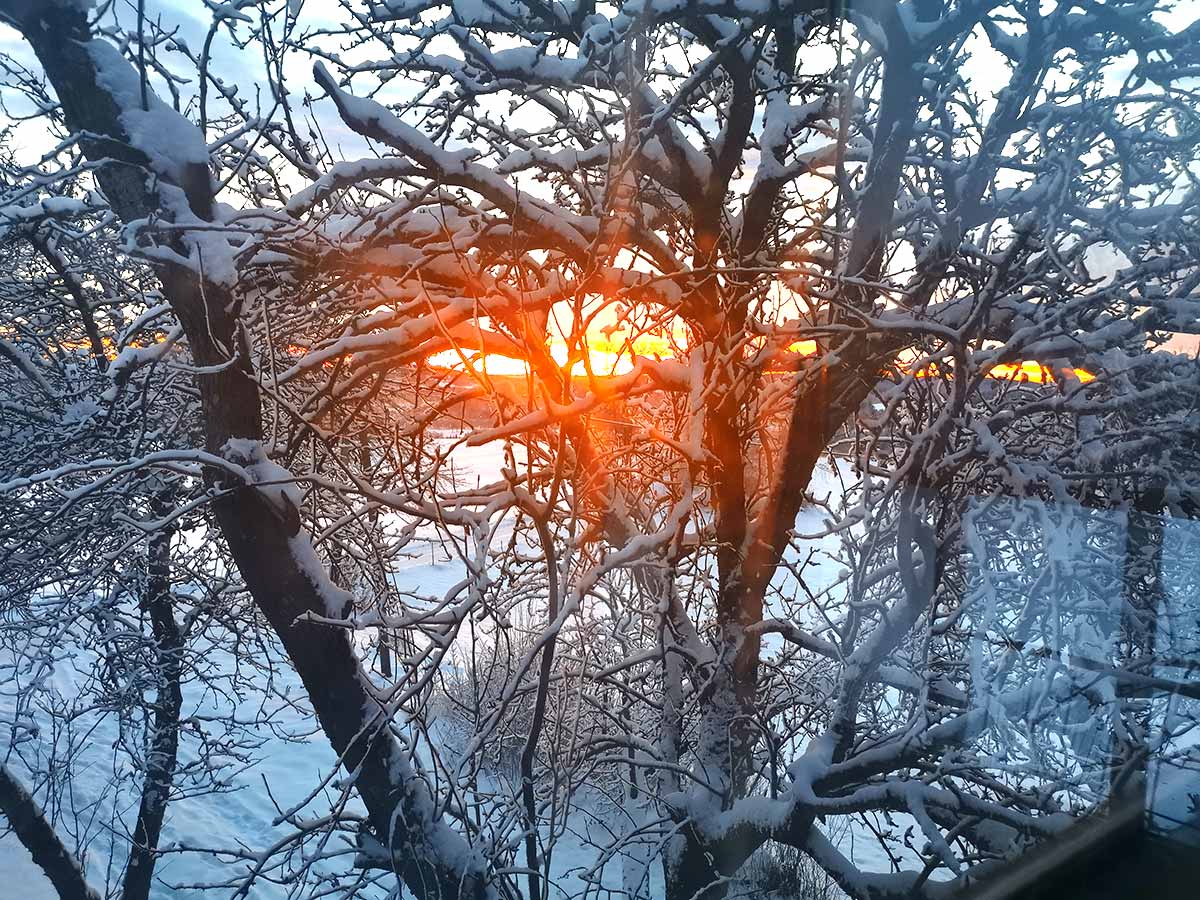 Weihnachten am Bärentrail, winterlicher Sonnenaufgang
