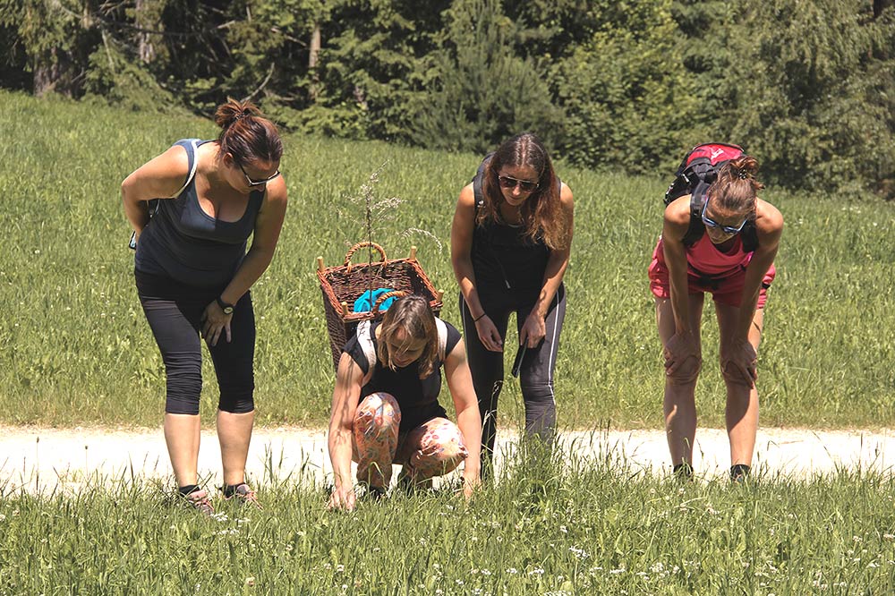 Yoga-Kräuter Retreat, Gasthof Einfalt