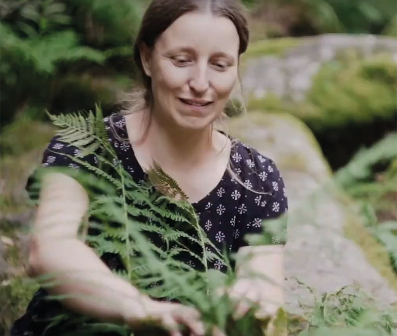 Gerda Holzmann Wildkräuterguide