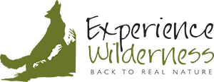 Logo Experience Wilderness