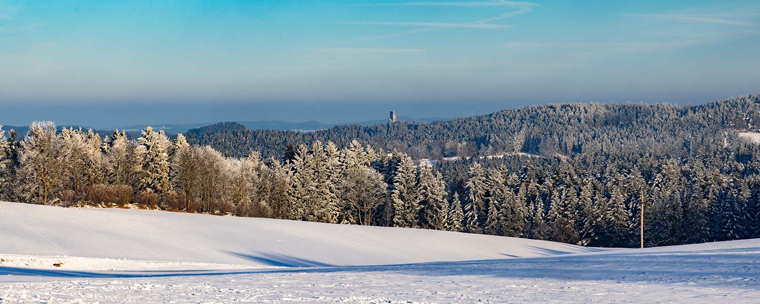WinterInArbesbach