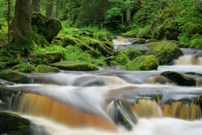 Der Kamp (c) Matthias Schickhofer