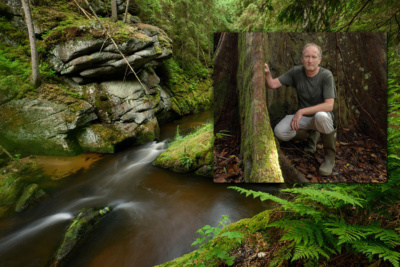 Wildes Waldviertel Am Bärentrail und Portrait (c) Matthias Schickhofer