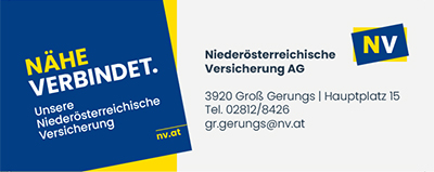 Die Niederösterreichische Versicherung